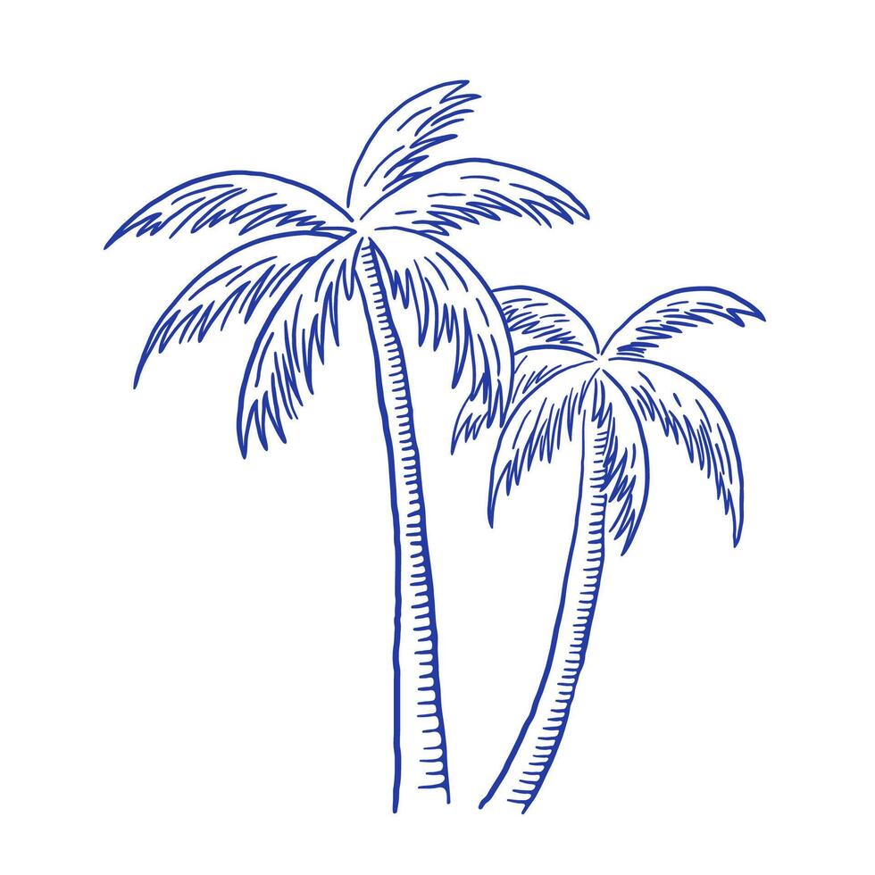 Hand draw palm tree illustration. Summer beach vacation clipart in sketch style vector