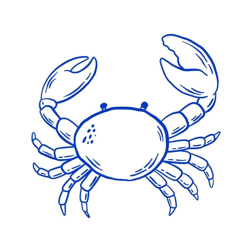 Hand drawn crab illustration. Doodle seafood isolated on white background. La dolce vita Italy retro style vector