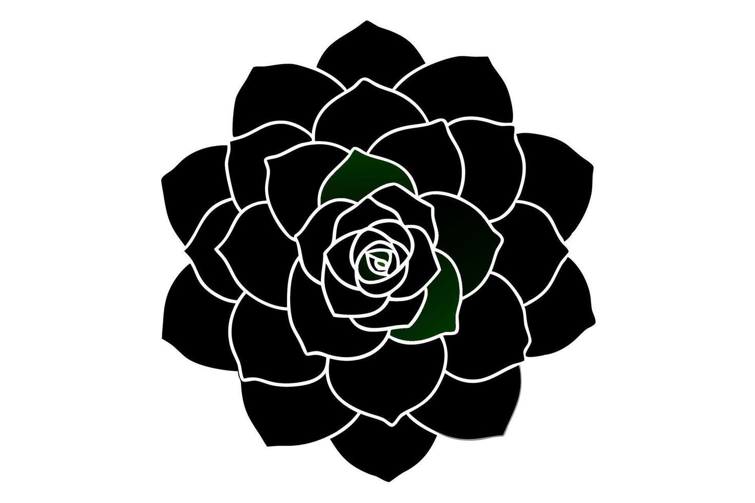 Black and Dark Green Succulent Rosette Illustration vector