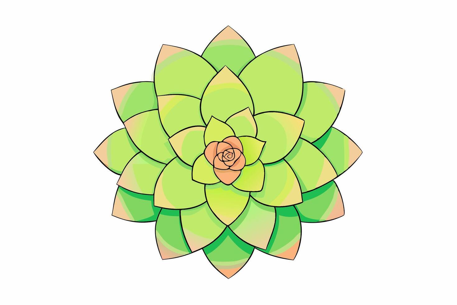 Vibrant Green and Peach Succulent Rosette Illustration vector