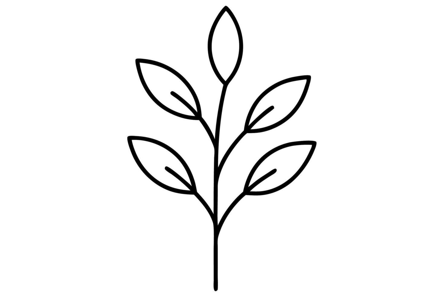 A black and white drawing of a leaf vector