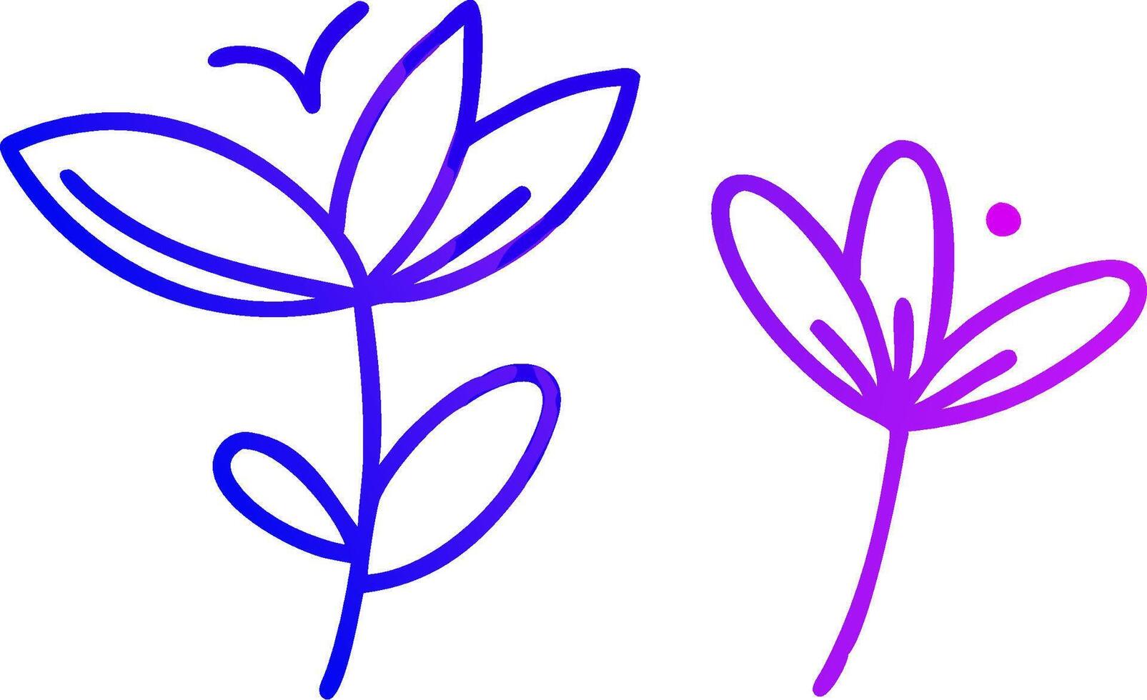 Two flowers are drawn in purple and blue vector