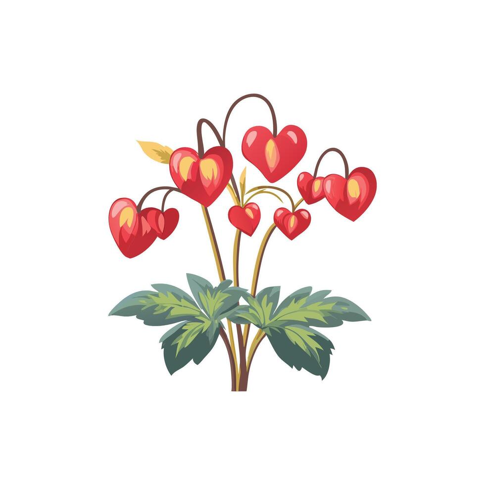 Illustration of bleeding heart flowers on a white background vector