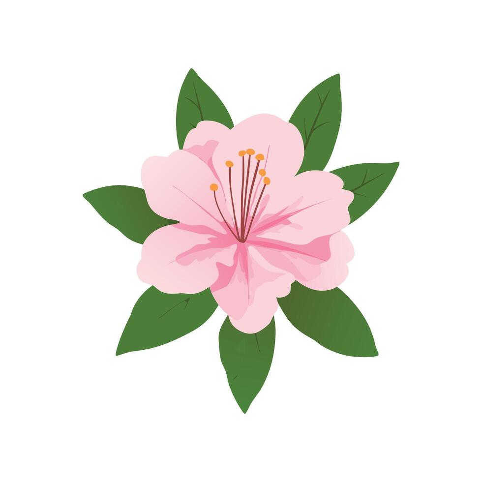 Pink flower with green leaves on white background vector