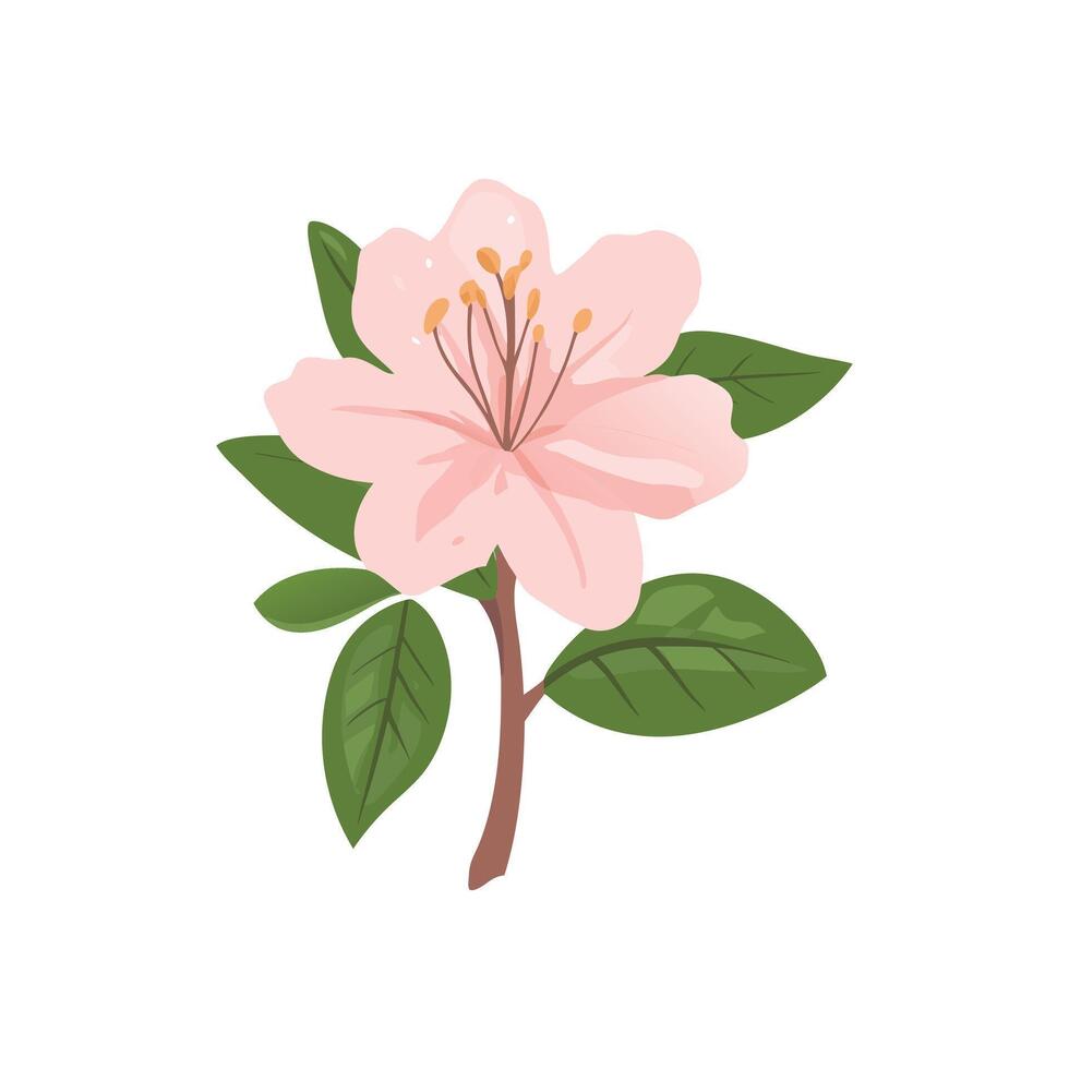 Illustration of a pink flower with green leaves and brown stem vector