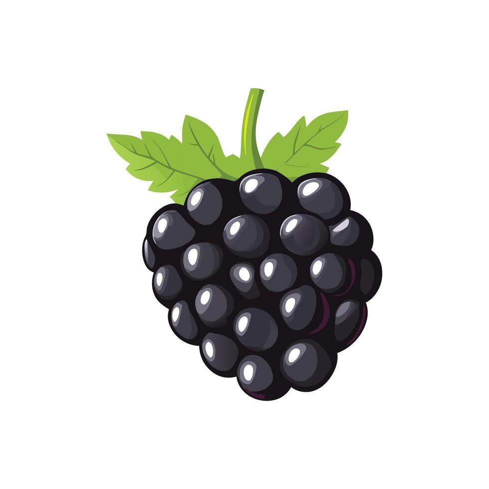 Isolated cartoon illustration of a single ripe blackberry vector