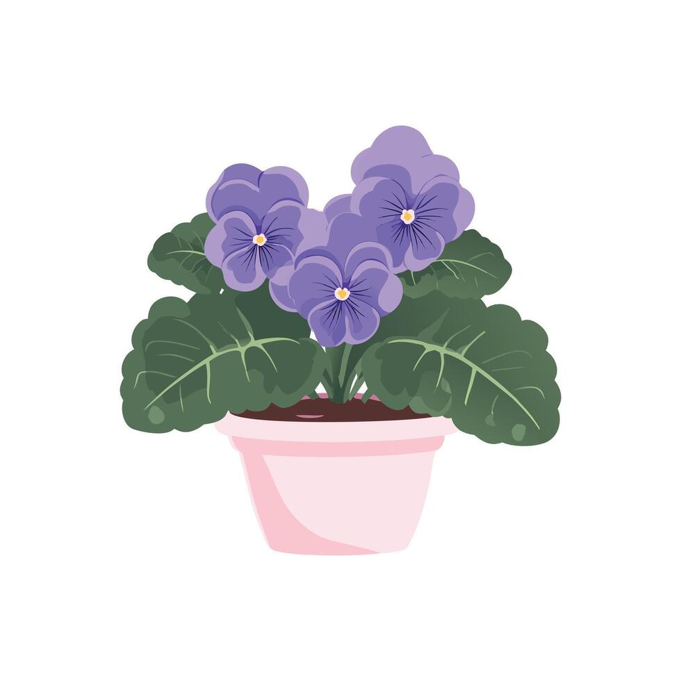Illustration of purple pansies in a pink flower pot vector