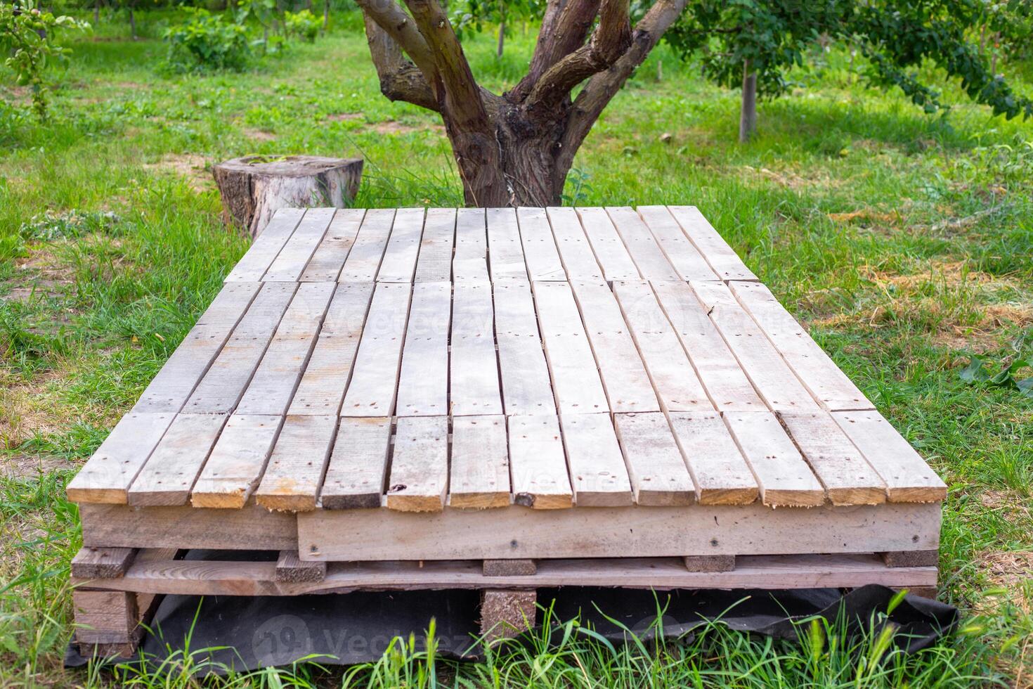 rectangular wooden pallet placed on green grass in garden.. photo