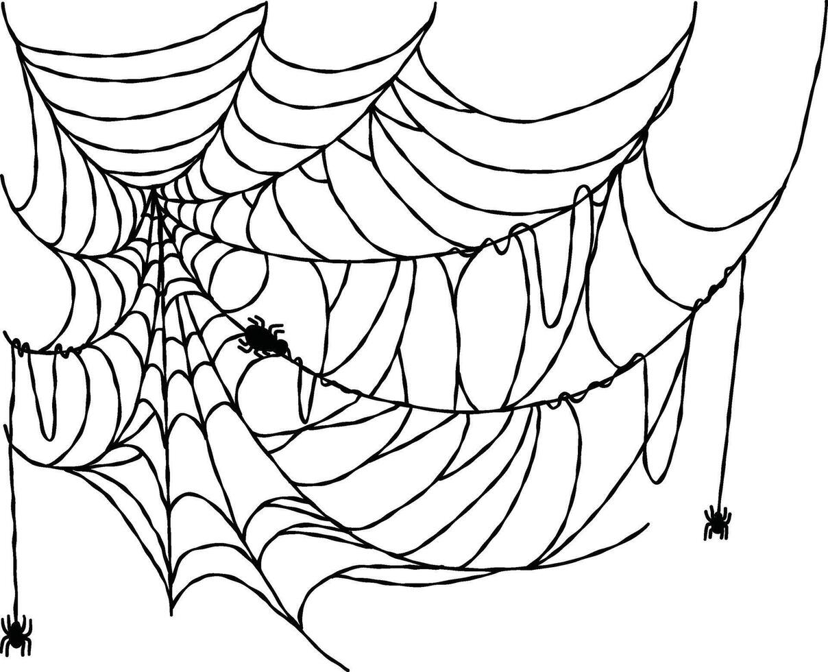 Halloween spider web vector