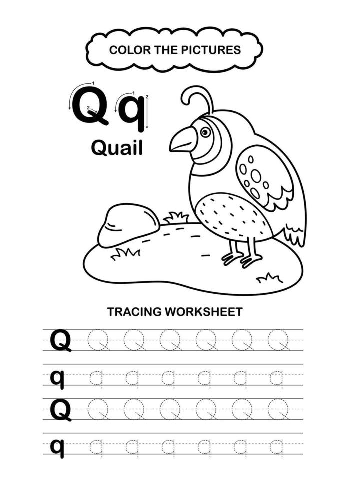 Animal Alphabet Trace and color Letter Q Quail vector