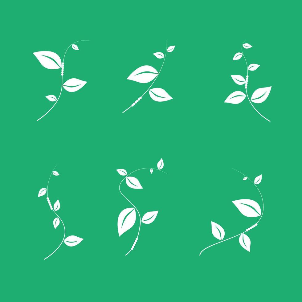 Eco leaf logo. Simple linear leaves of trees and plants. Elements for eco-friendly and biological logo, vegan. A collection of leaves with green background vector