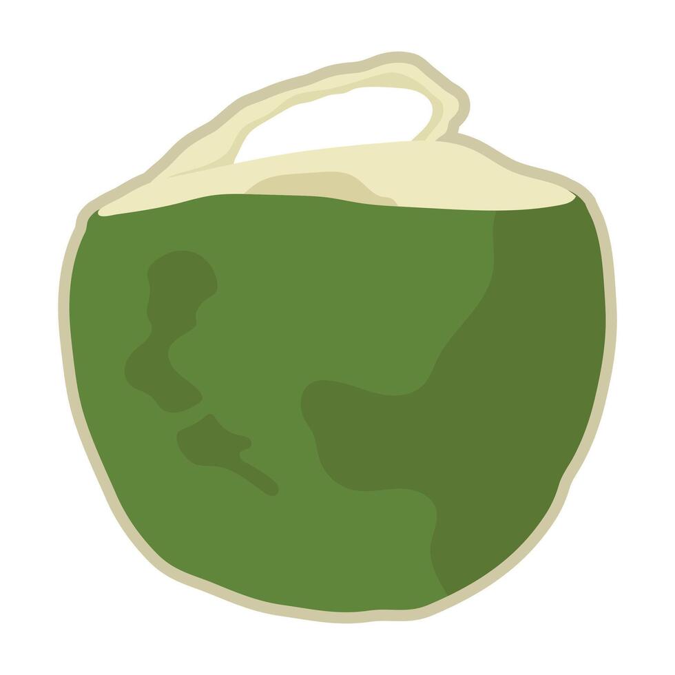 Isolate fresh young coconut fruit with opened one and more.. vector