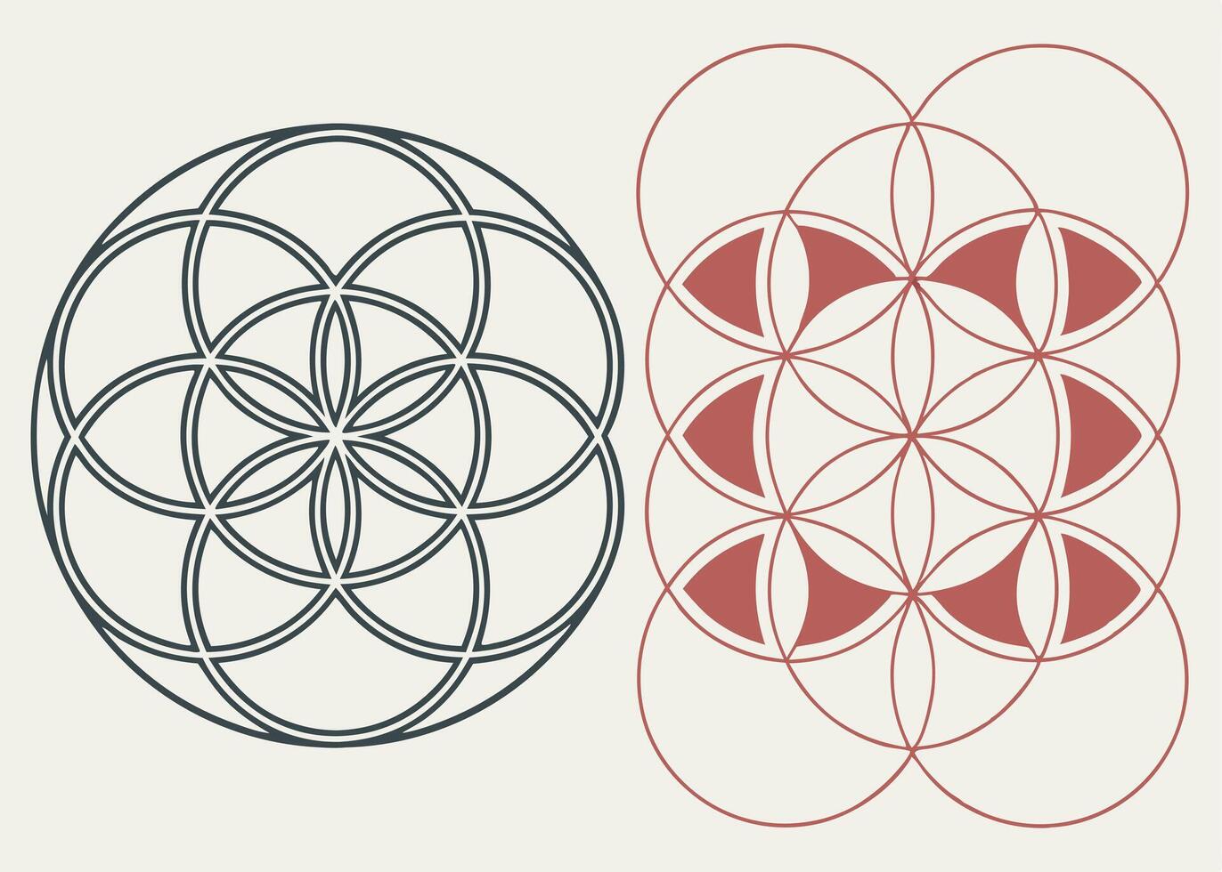 Flower of life sacred geometry circles pattern design illustration vector