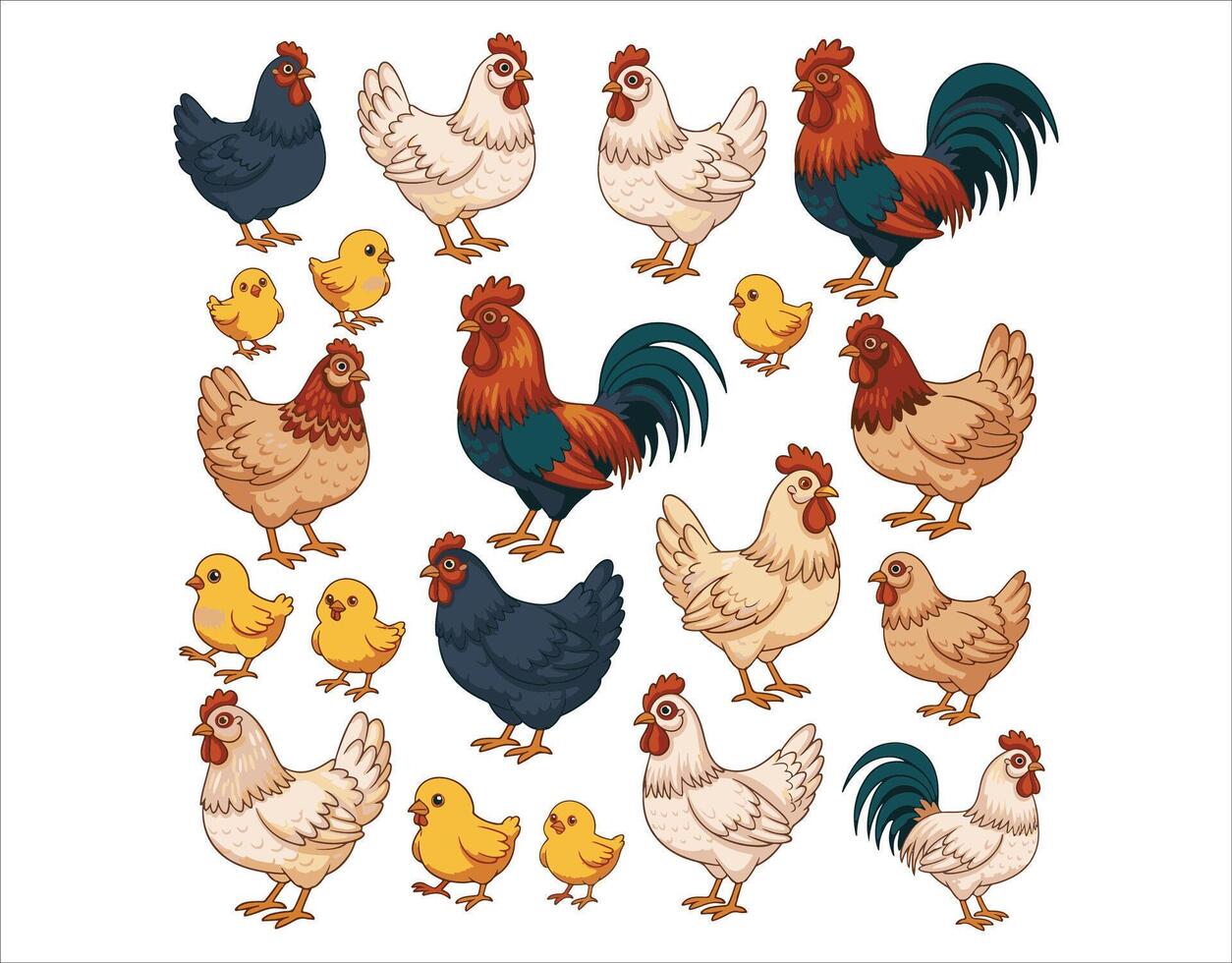 Collection of poultry birds. Set of chicken clips. illustrations of domestic chickens on a white background. Isolated cartoon chick. vector