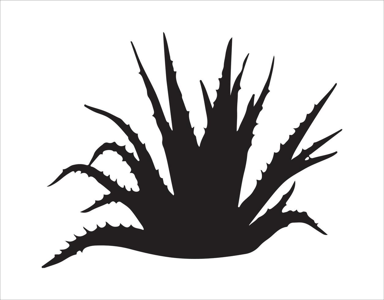 Aloe plant illustrated with a black outline over a white canvas vector