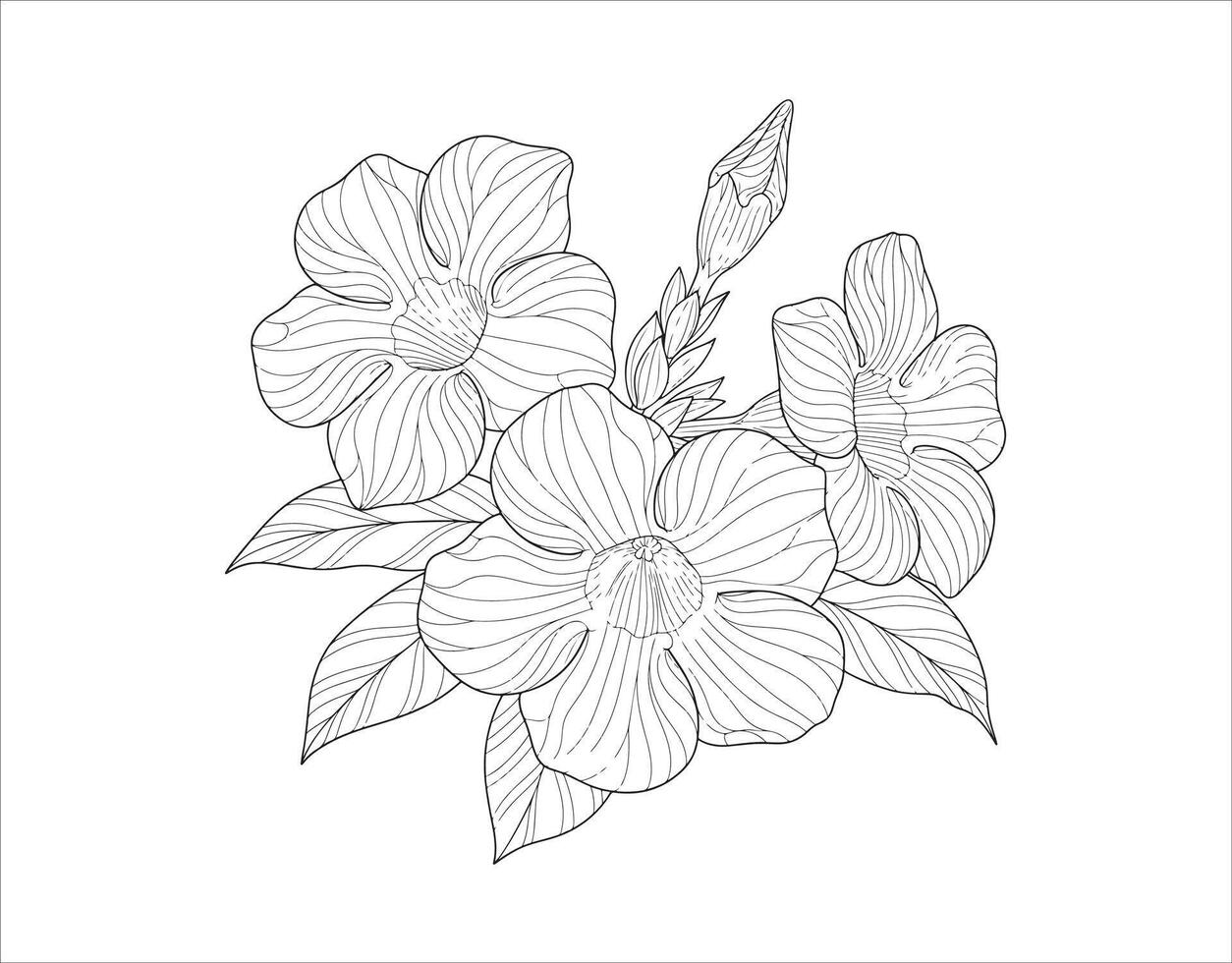 illustration of an allamanda flower with a creative line art design, ideal for a coloring page print vector