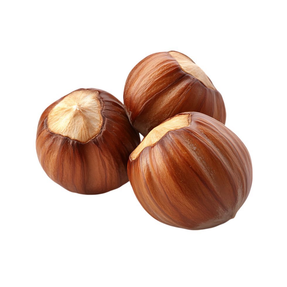 Three hazelnuts in shell isolated on transparent background png