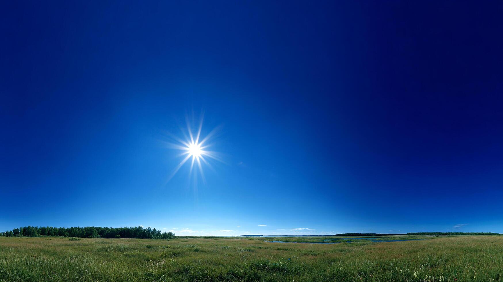 Vivid textures in bright summer valley countryside photo