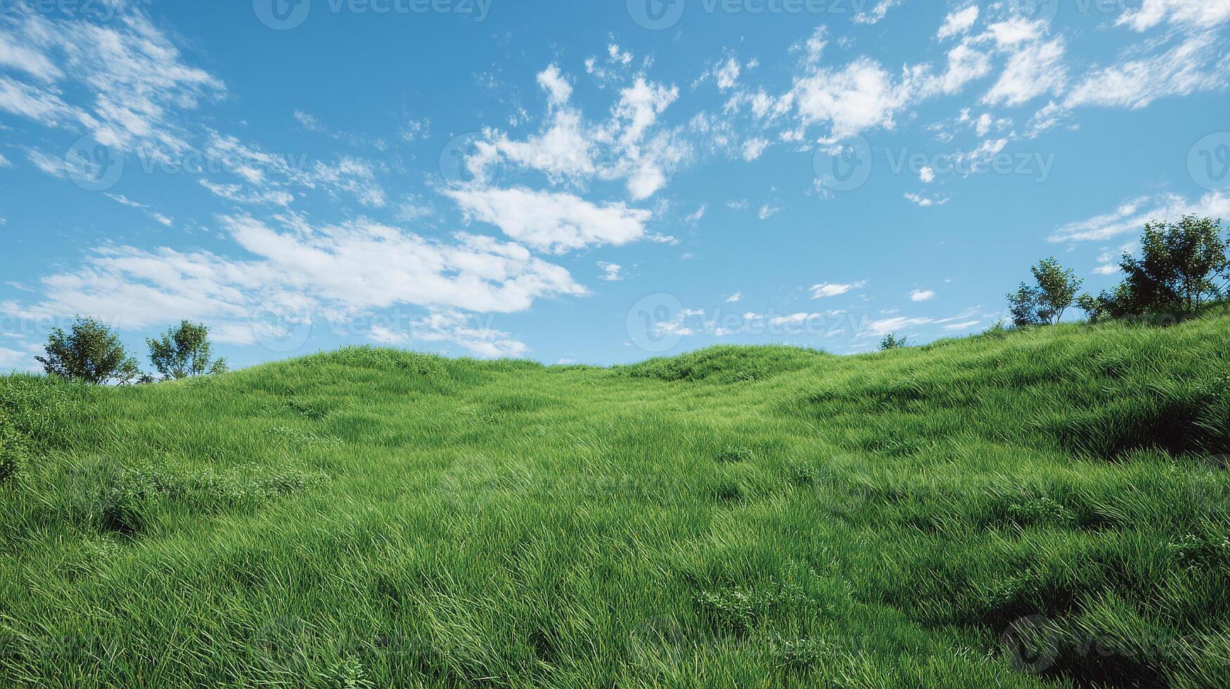 Clear sunny sky over green summer valley field photo