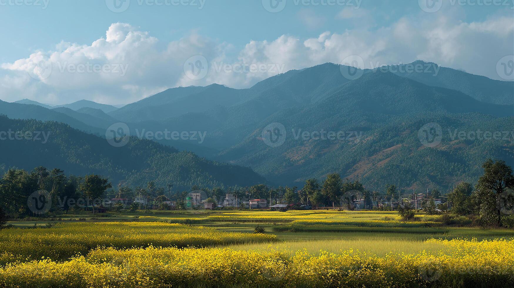 Summer valley scenery with vivid colors and details photo