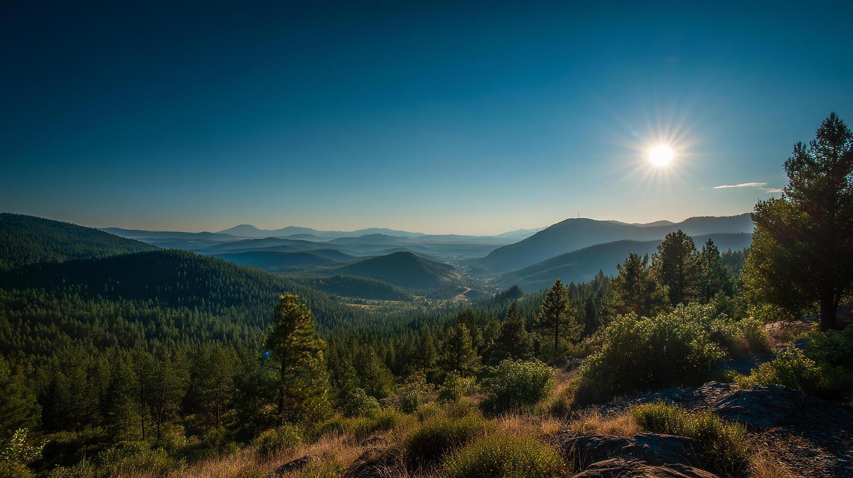 Realistic textures in serene outdoor nature landscape photo
