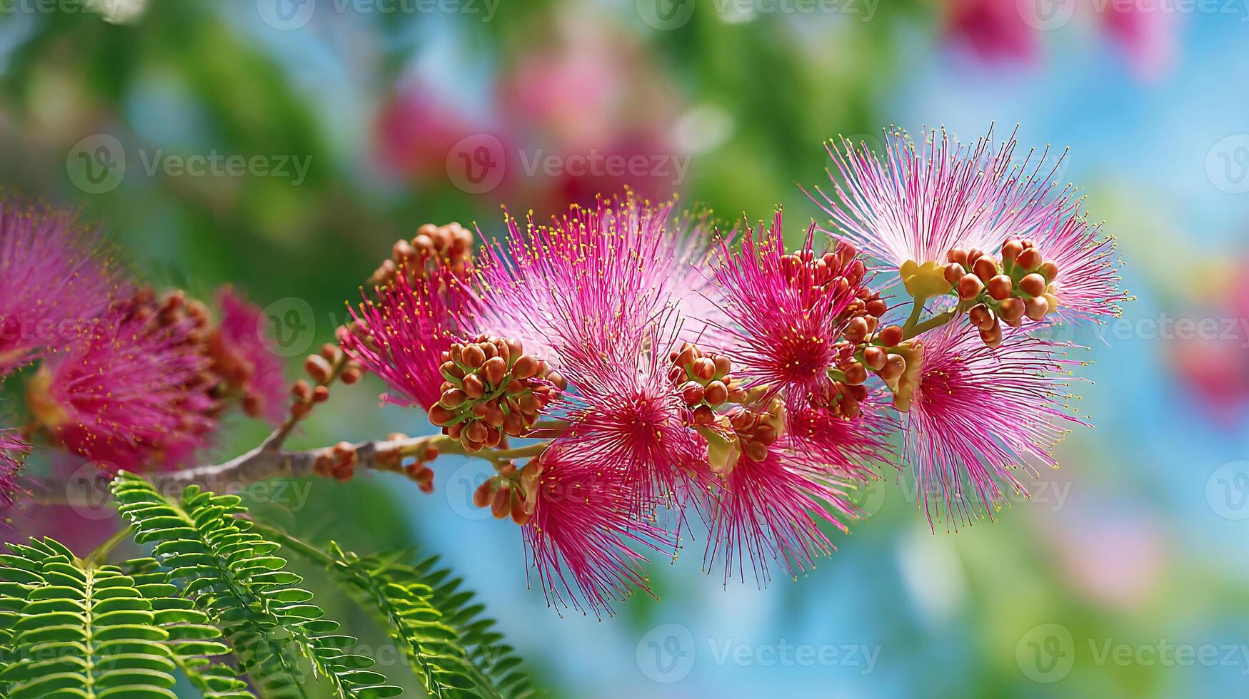 Tree branch holding a flower with rich vibrant tones and nature beauty photo