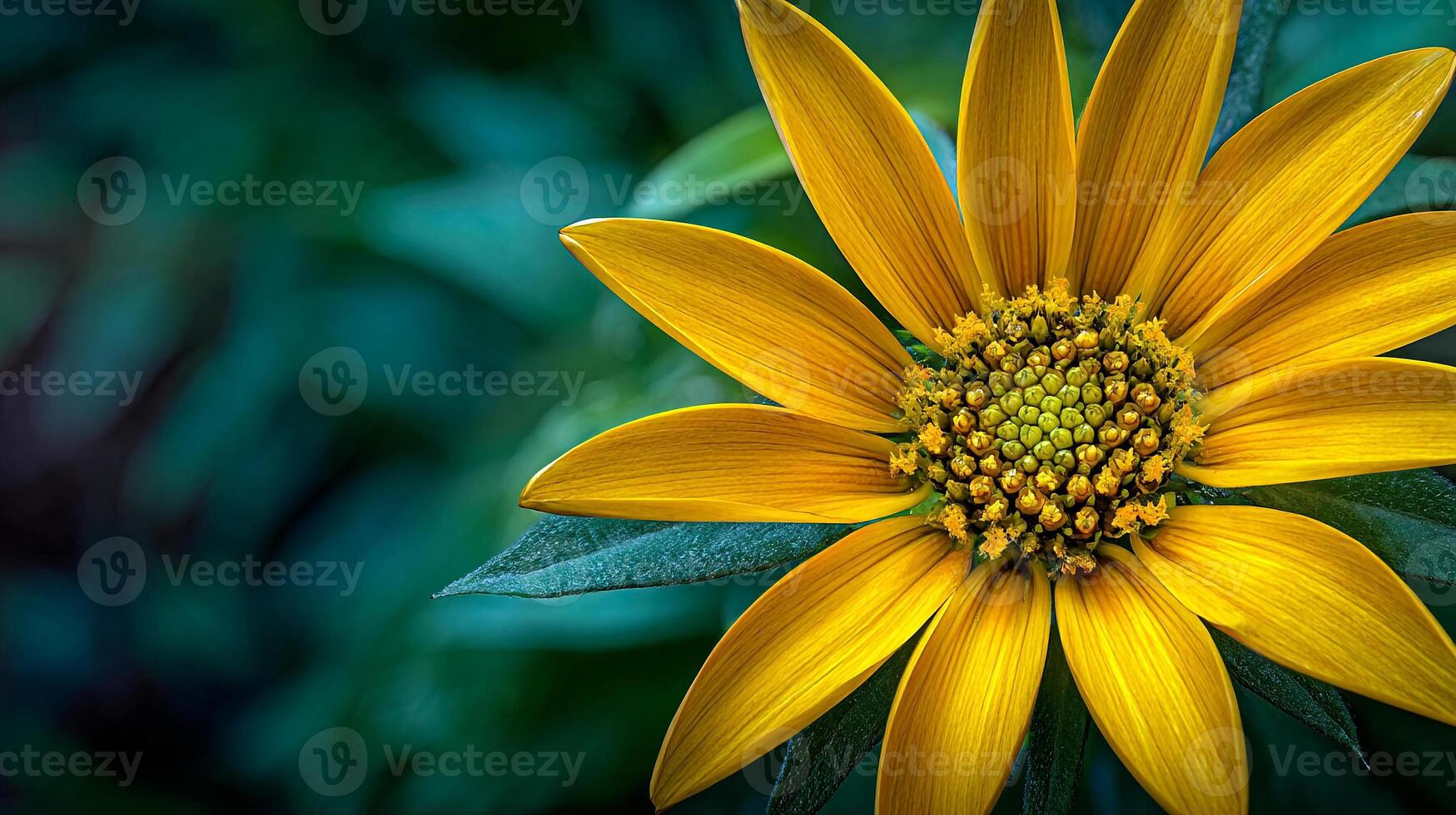 Macro view of realistic flower natural scenery textures photo