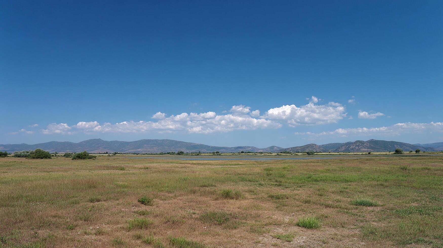 Photorealistic image of summer countryside landscape photo