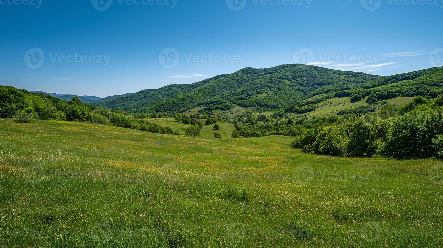 High detail countryside landscape with vibrant colors photo