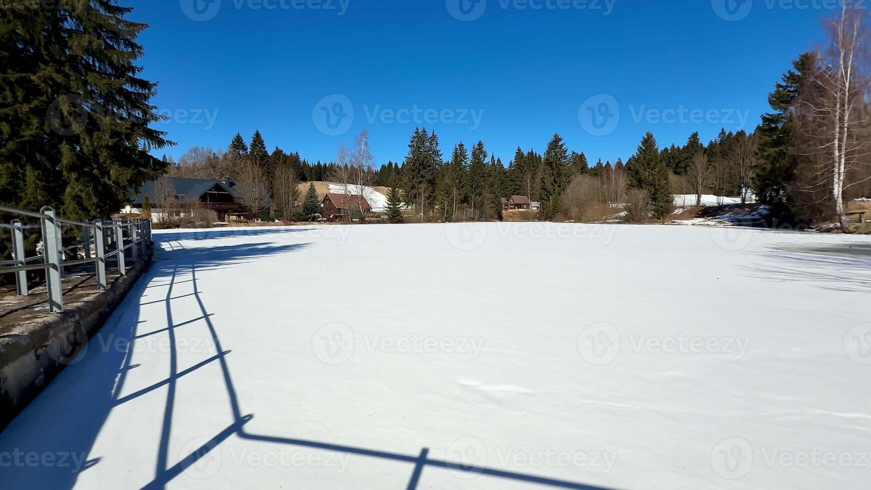A serene frozen lake, still and peaceful, surrounded by tall trees, showcasing winters tranquil beauty photo