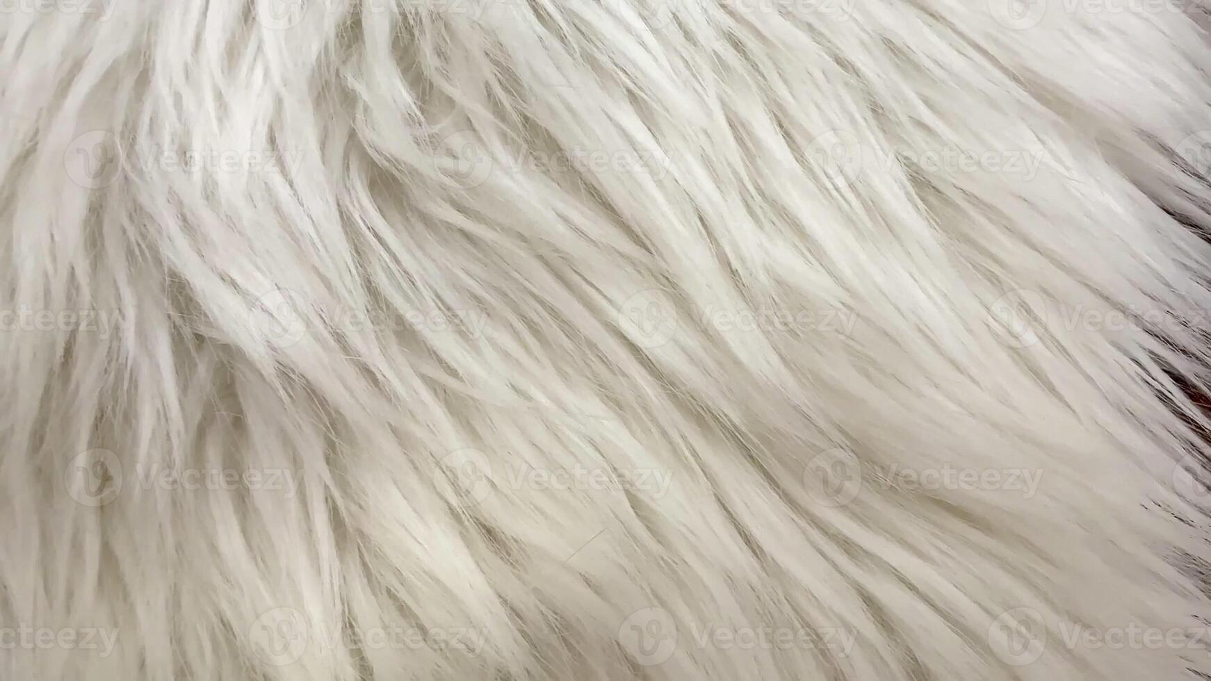 A closeup view of luxurious and soft white fur that is perfect for elegant, stylish, and modern design projects photo
