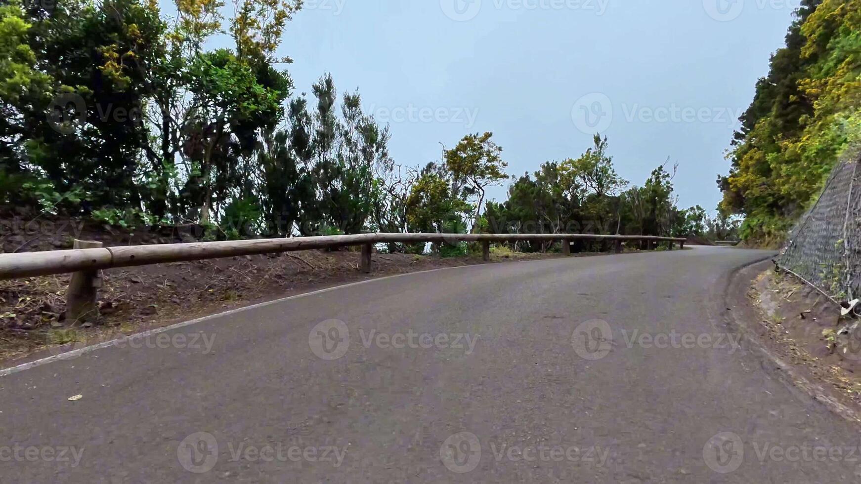 A picturesque winding road enveloped by vibrant greenery on both sides, perfect for true nature lovers photo