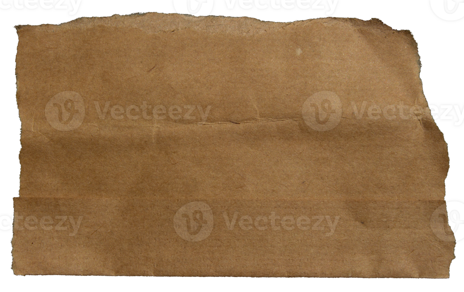 Ripped torn one brown paper edge on transparent background, paper tear stripes cut out design element png
