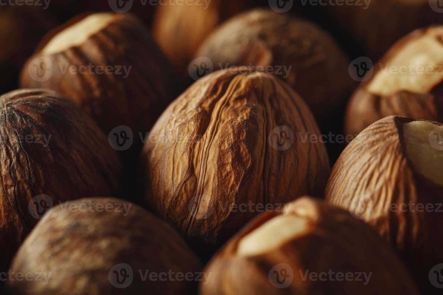 Close up of many brown hazelnut shells photo