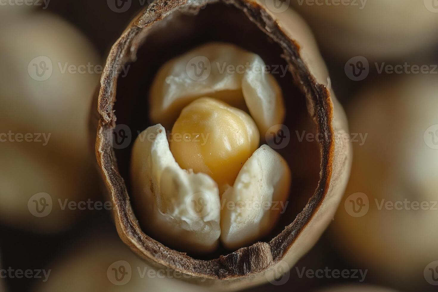 A Single Kernel of Corn Inside Its Husk photo