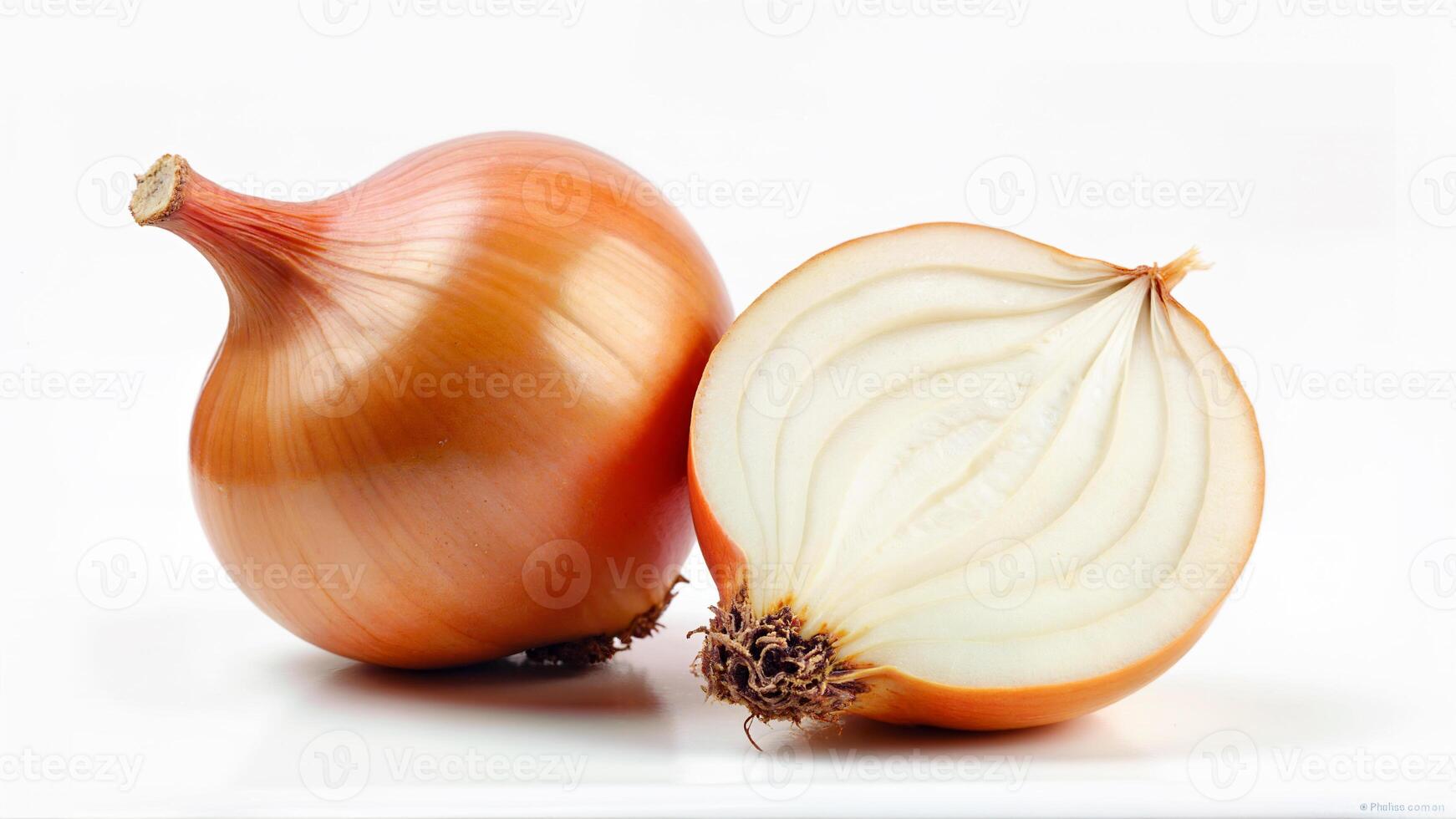 A whole onion and a half onion are displayed isolated on a white background for food, cooking, or nutrition concepts. photo