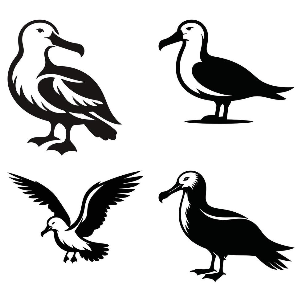Four black and white albatross bird silhouettes vector