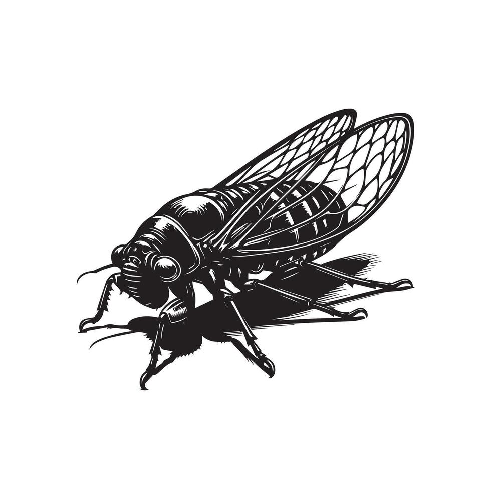 Cicada Beetle Insect Icon on White Background. vector