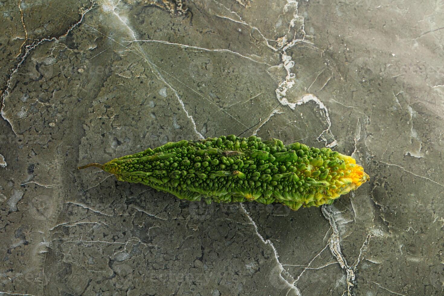 A green leaf on a gray background photo