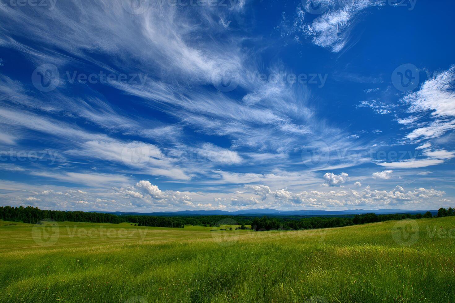 Green meadow stretching under a vast blue sky with wispy clouds photo