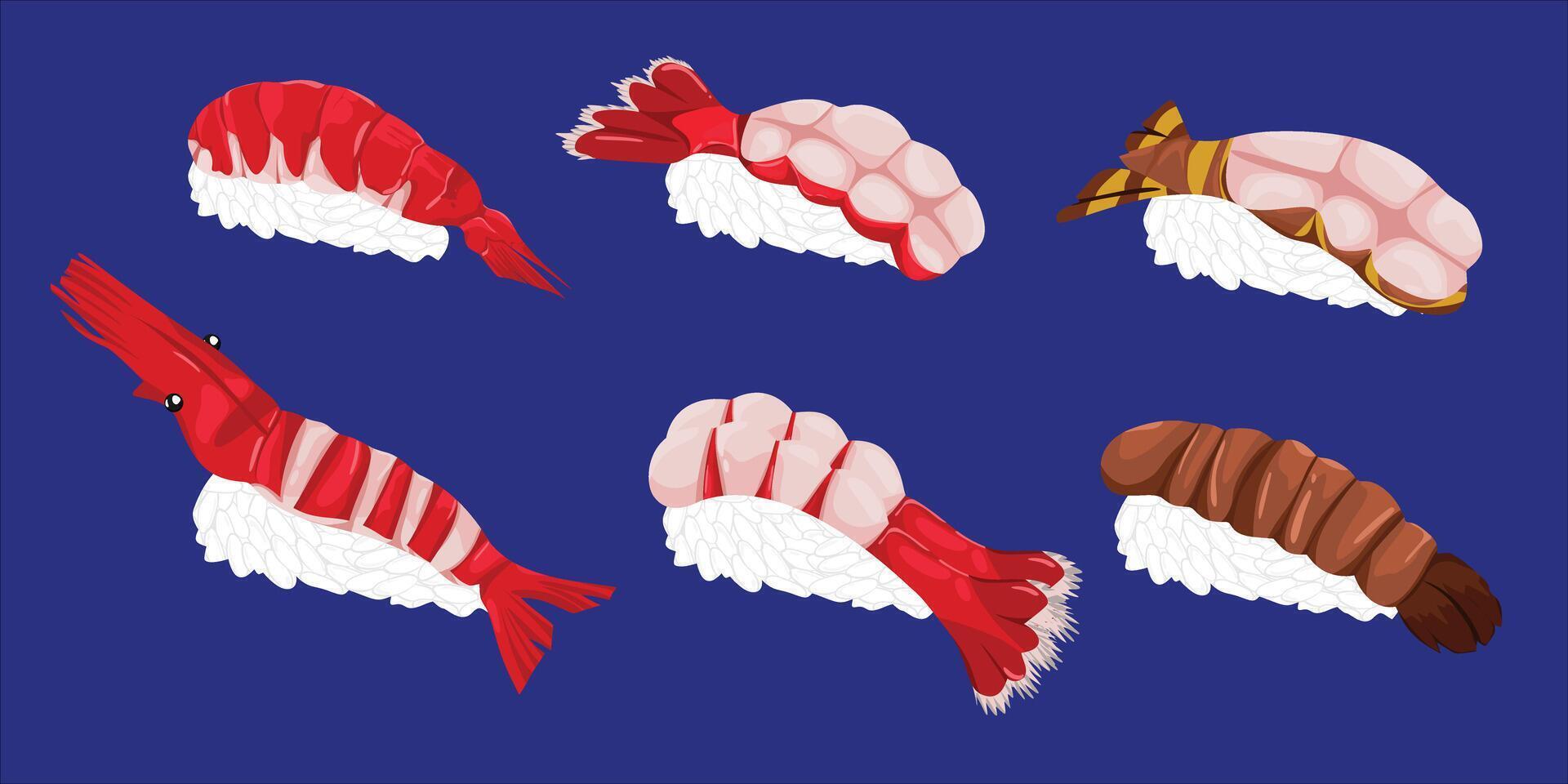 Assorted Shrimp Sushi Collection with Mantis, Sweet Shrimp, Botan Ebi and Japanese Prawn Nigiri vector
