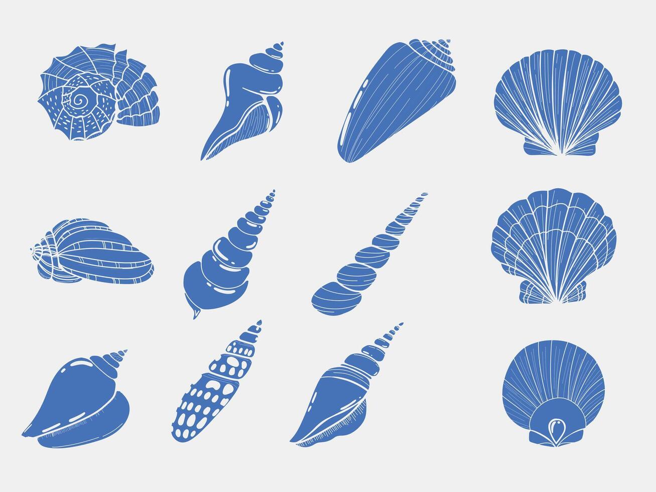 Beach Seashell Set Design with Summer Vibes and Coastal Elements for Tropical and Holiday Projects vector