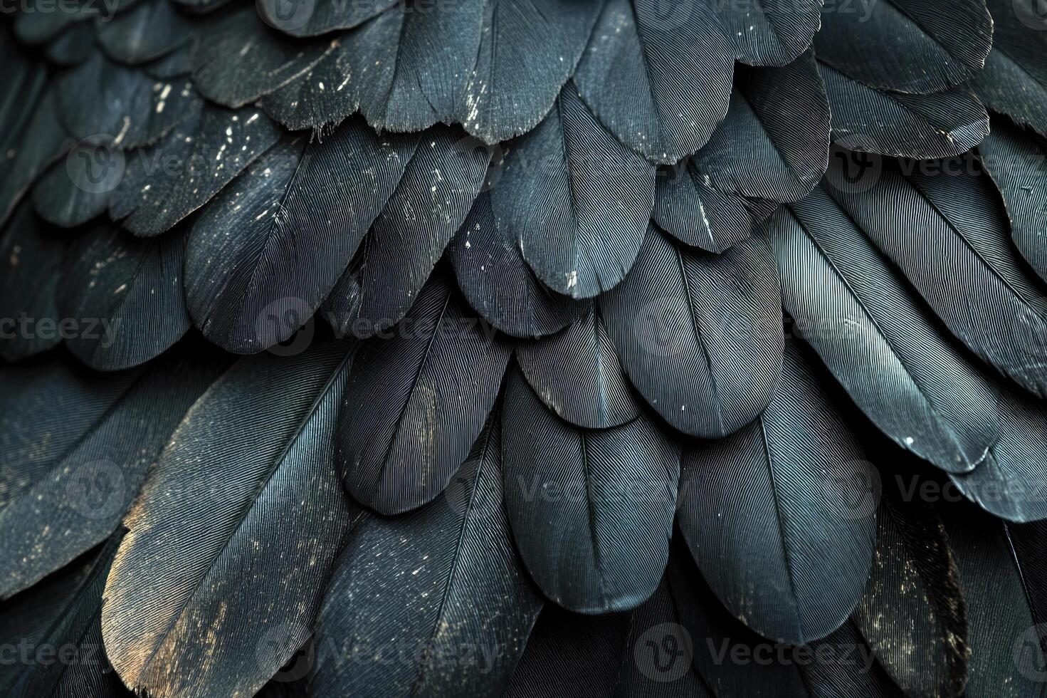 Close up of black feathers creating seamless background texture photo