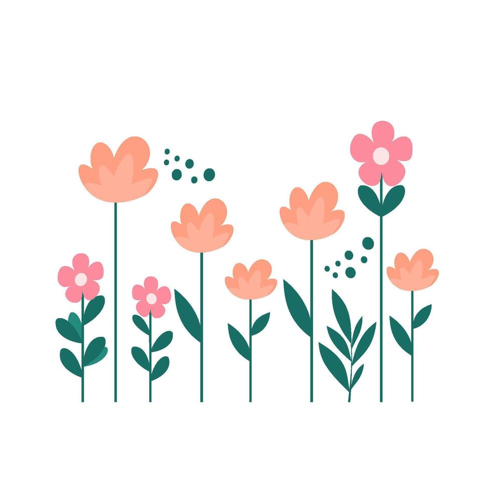 Orange and pink Windflowers Illustration with Minimal Flat Design of Spring Wildflowers vector