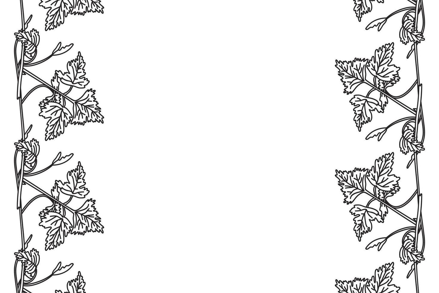 Line art botanical floral vertical border with grapevine isolated on white background. Hand drawn outline vine plant with long stem and leaves illustration. Graphic design element for Birthday vector