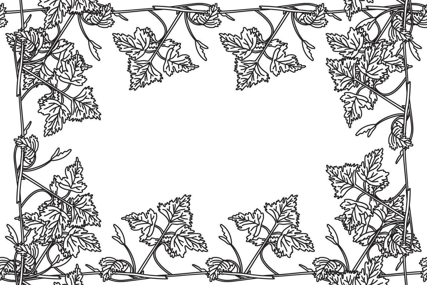 Line art botanical floral frame with grapevine isolated on white background. Hand drawn outline vine plant with long stem and leaves illustration. Graphic design element for Birthday Wedding vector
