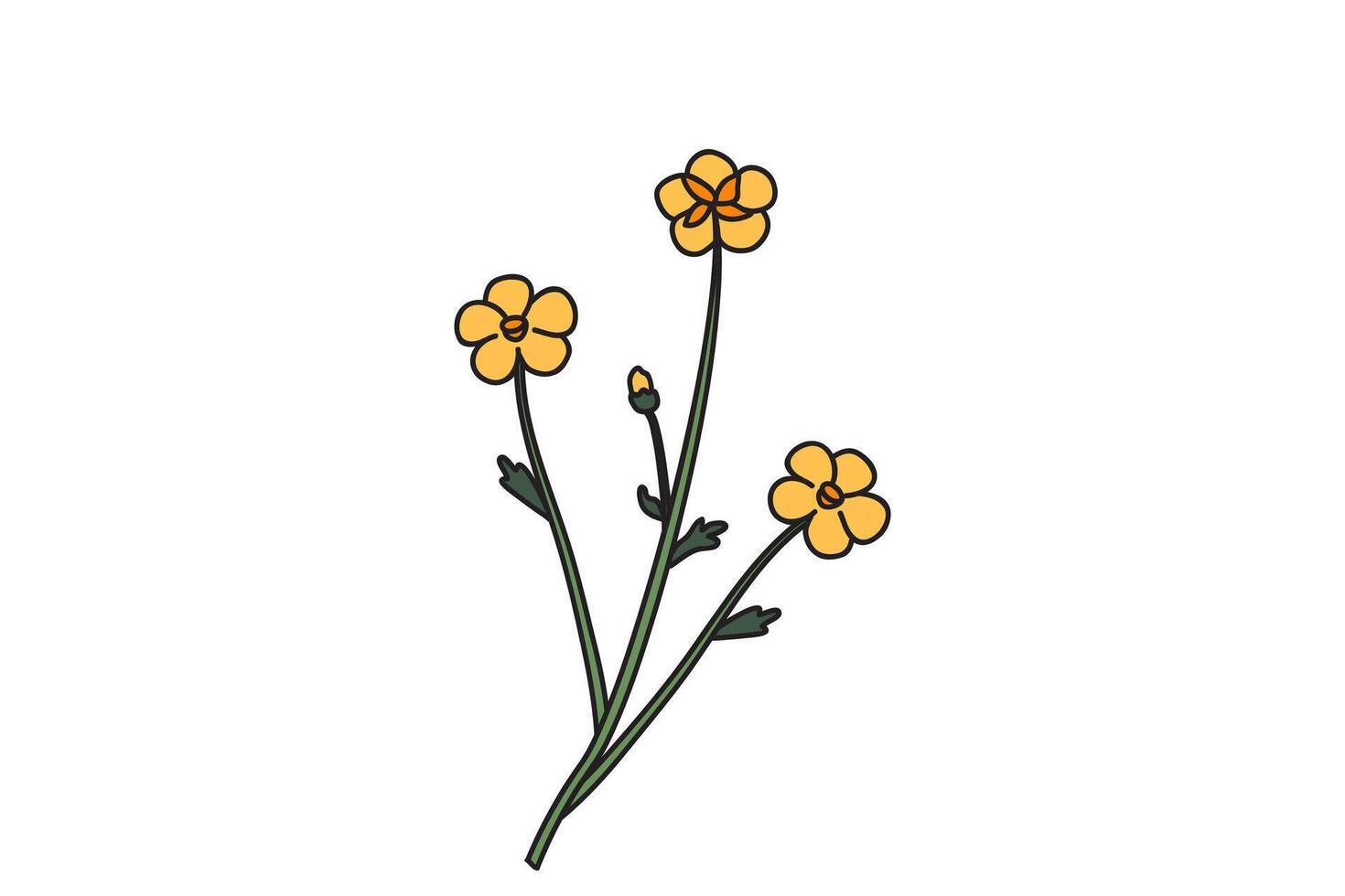 Botanical floral meadow bouquet isolated on white background. Hand drawn three wildflower plant with yellow flowers illustration. Graphic design element for Birthday Wedding Greeting Card Flyer vector
