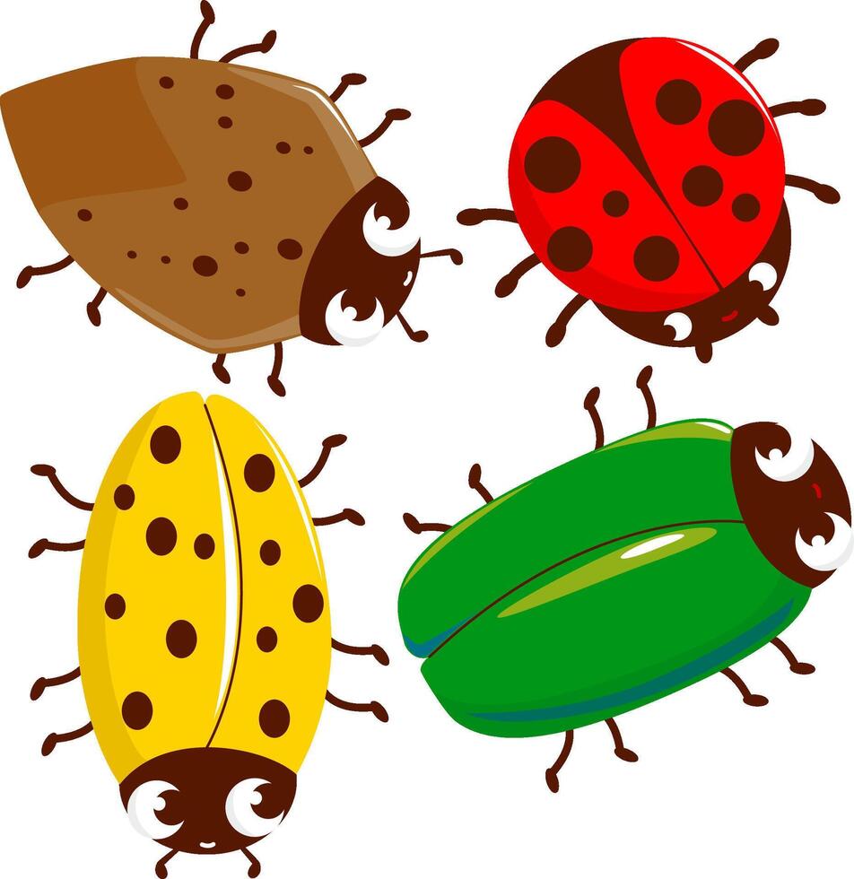 Cute beetles, bugs and insects. Set of cute colorful ladybugs, scarabs and garden beetles on white background. vector