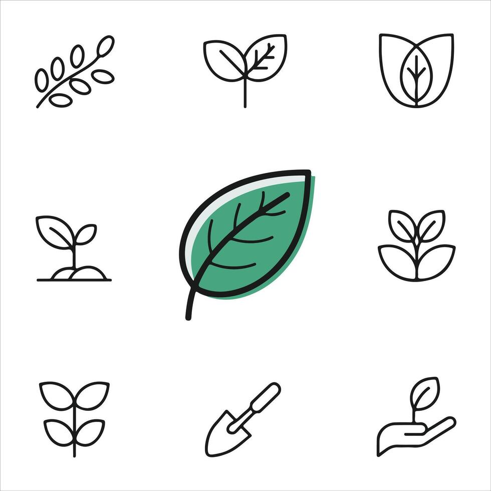 Organic Leaf and Plant Silhouette Art Set vector