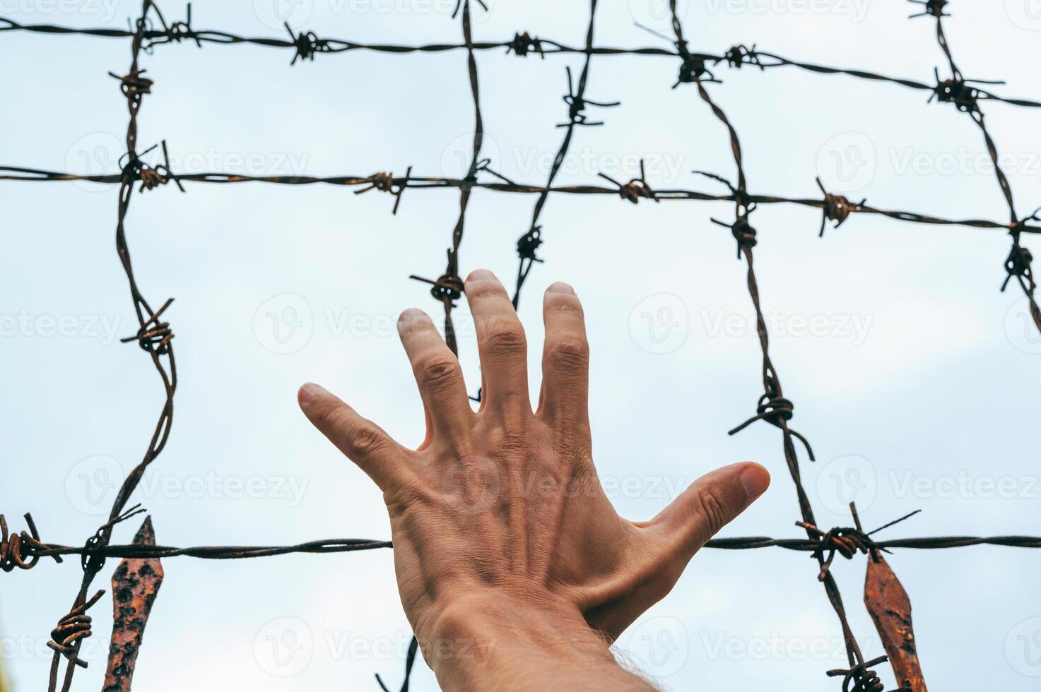 men's hand, behind a barbed wire fence against the sky. photo